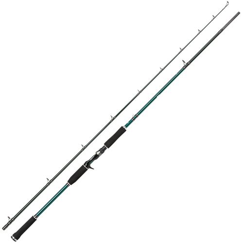 meilleure canne a peche brochet