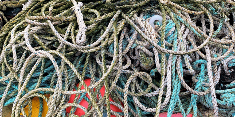 Les équipements de sécurité essentiels pour une pêche sereine